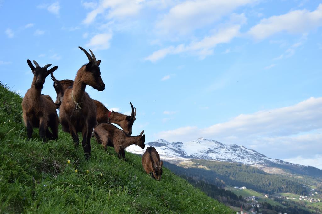 Garni Petter Hotel Капл Екстериор снимка